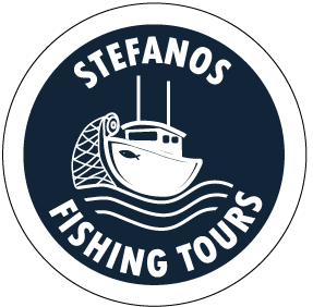 Website Logo